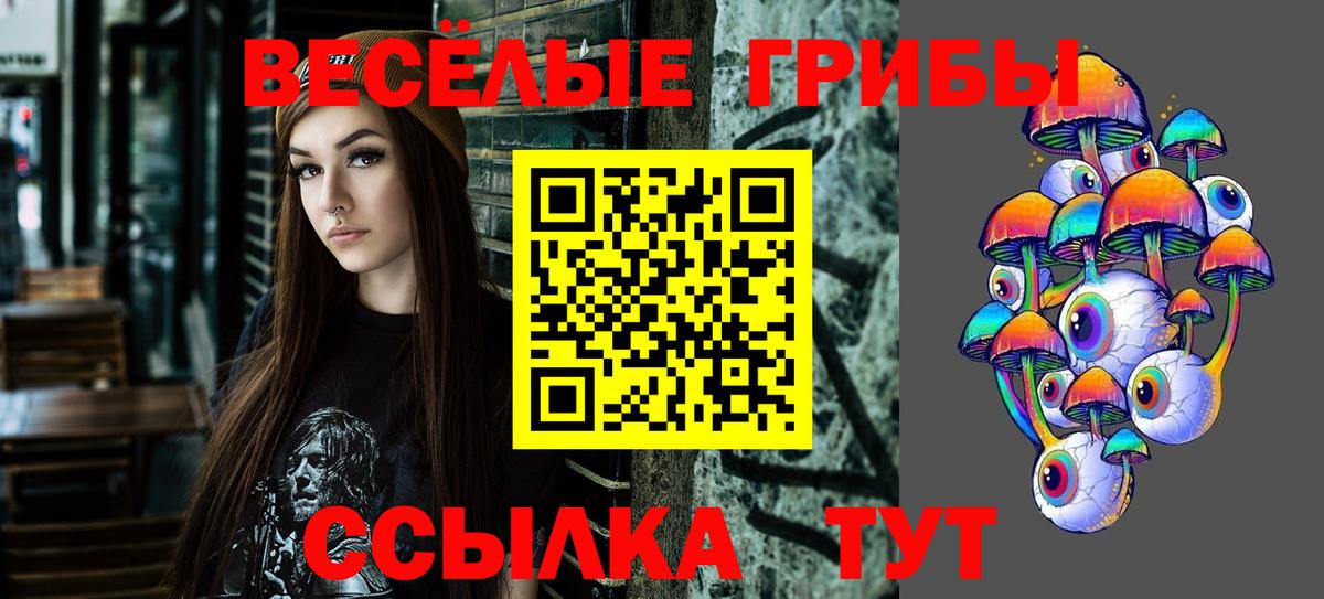 Владимир  Галлюциногенные грибы Magic Shrooms  Вход с VPN  Галлюциногенные грибы ЛСД 